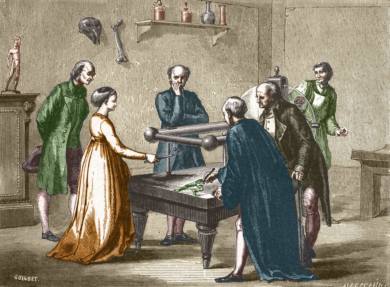 Luigi Galvani, profesor en Bolonia, descubrió en 1780 la irritabilidad de los músculos de la rana por electricidad - en "Álbum de Ciencia; científicos ilustres; Grandes descubrimientos" 1896 de French School