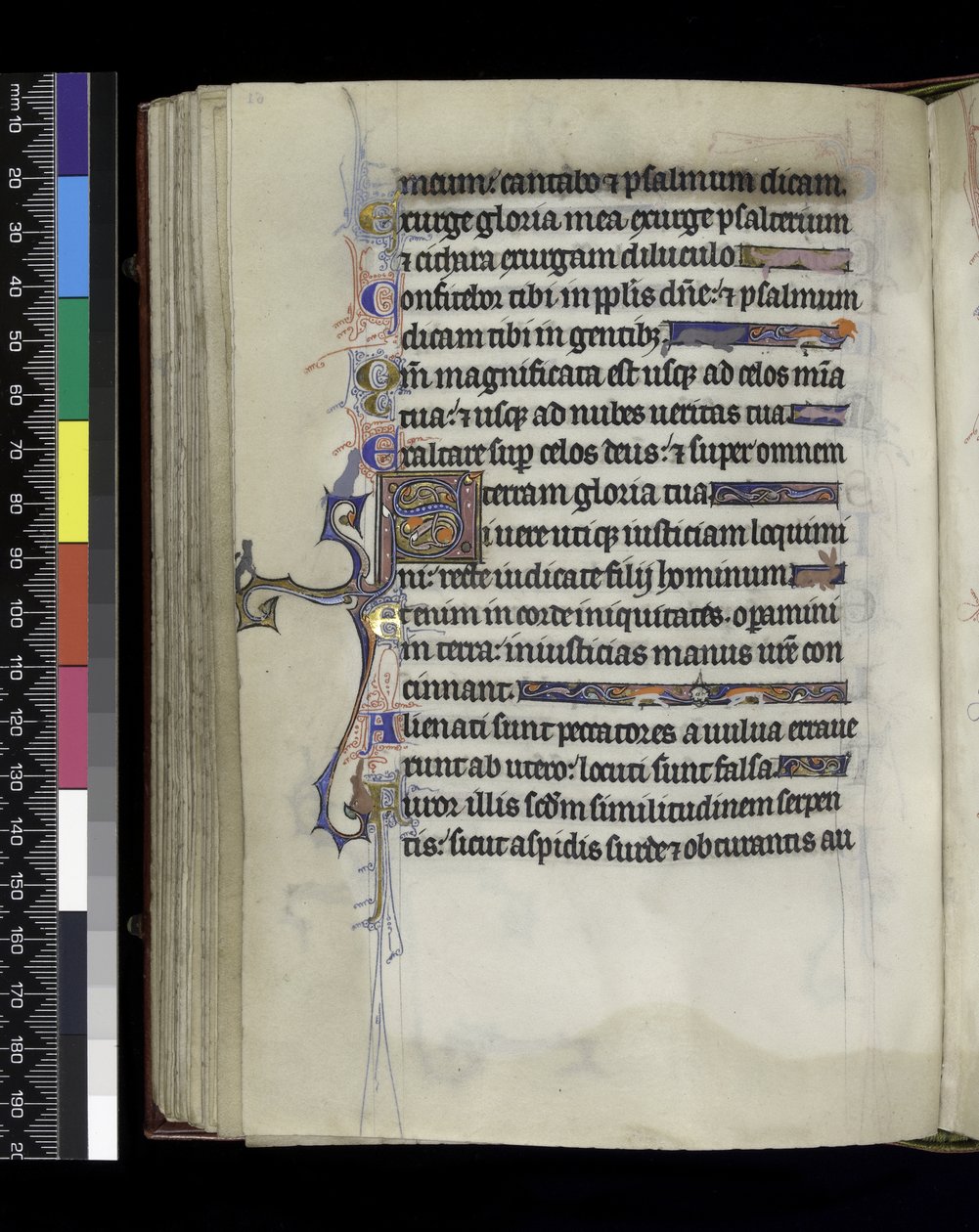 MS 300 f.61v, folio del Salterio y Horas de Isabel de Francia, París, c.1265-70 de French School
