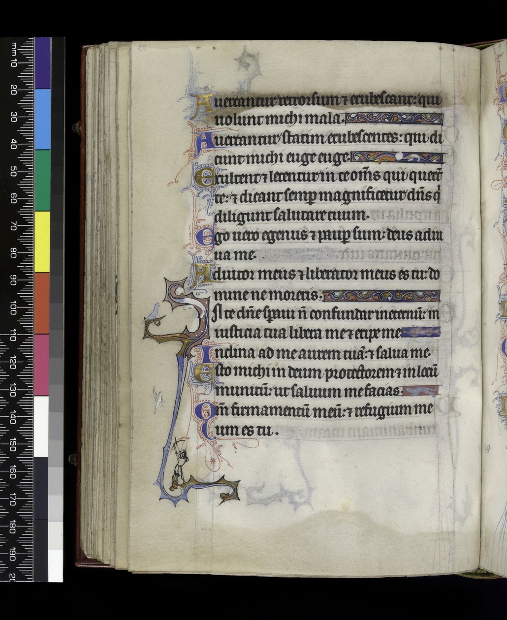 MS 300 f.73v, del Salterio y Horas de Isabel de Francia, París, c.1265-70 de French School