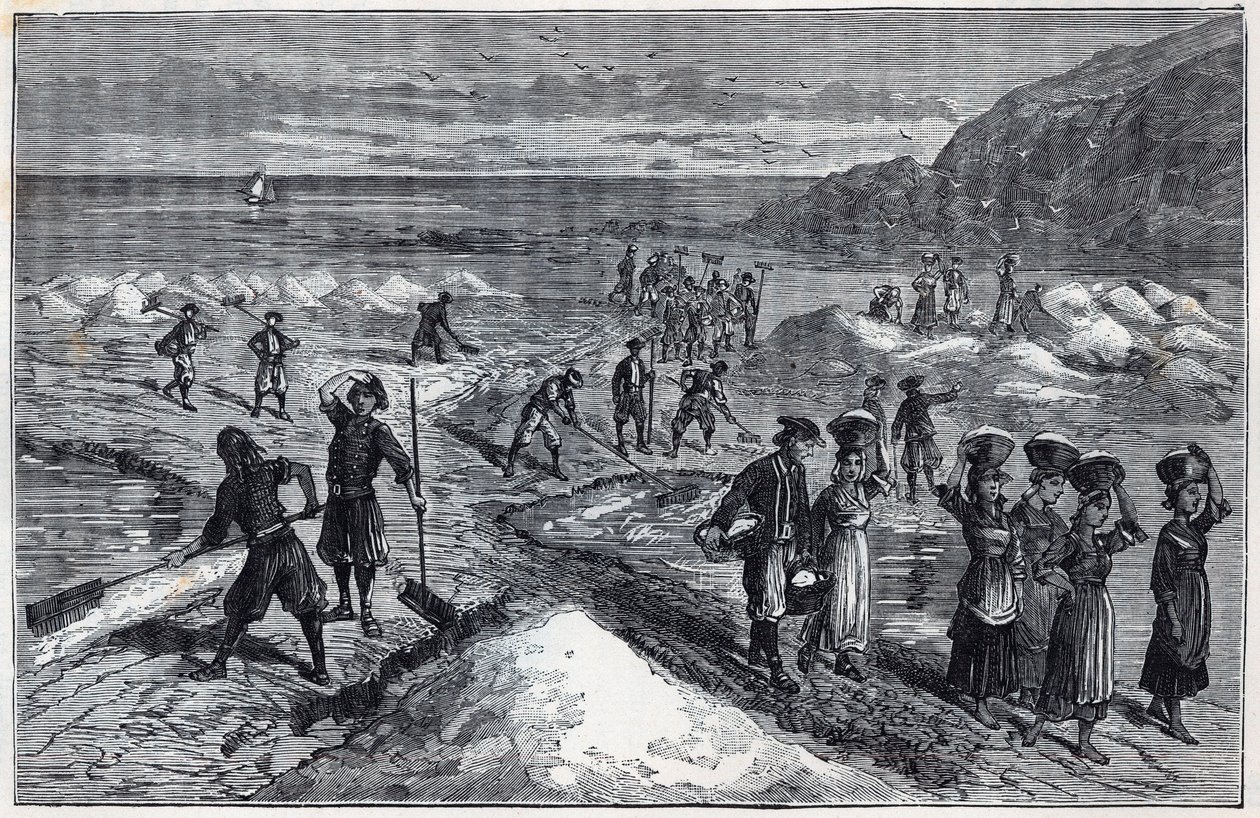 Salinas de Bretaña en el siglo XIX - Grabado en "Ciencias llevadas a los agradecidos" - física y química por Alexis Clerc - Finales del siglo XIX - Colección privada de French School