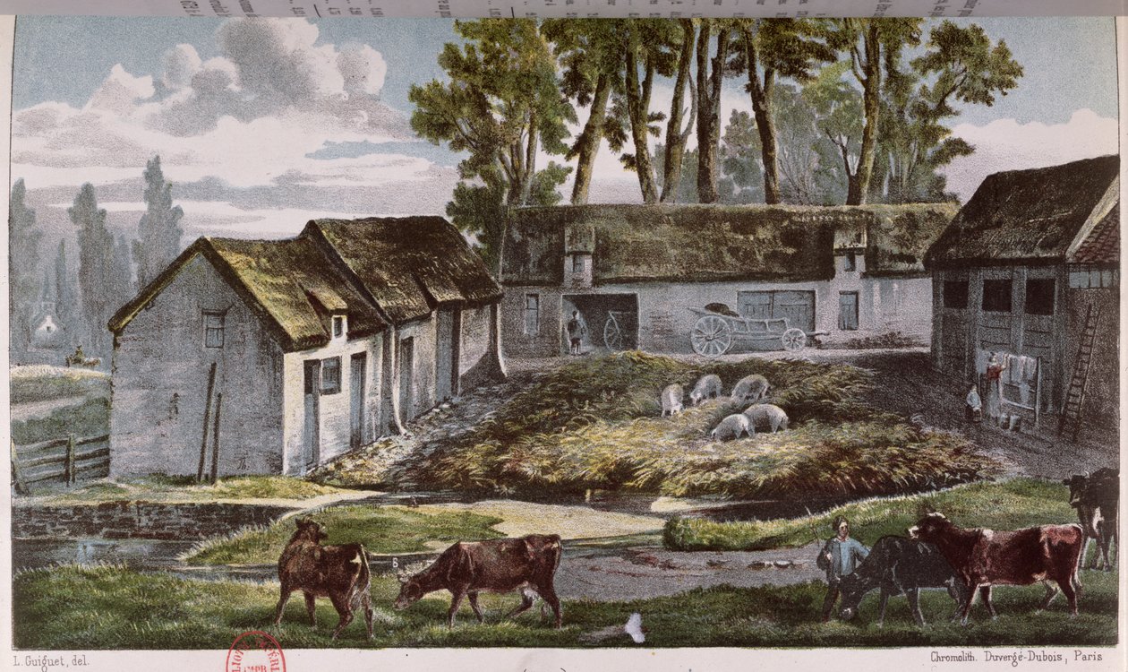 Granja del Sr. Vandercolme en Armbouts-Cappel (Nord) antes de la mejora del pozo de estiércol, 1867 de French School