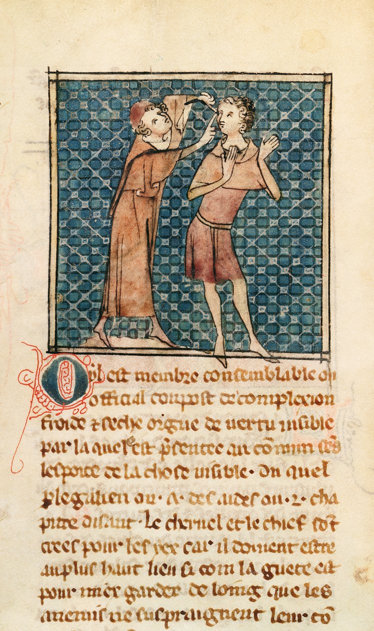 Oftalmología, ilustración de La Cirugía de Maitre Henri de Mondeville de French School