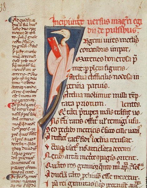 Ms 2046 fol.438 Un pájaro sosteniendo un libro de Gilles de Corbeil (1165-1222) de 