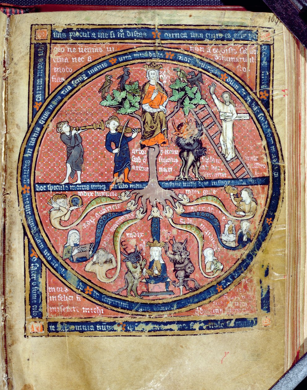 Árbol alegórico, de De Philosophia Mundi por Guillaume de Conches (1100-54) 1276-77 de French School