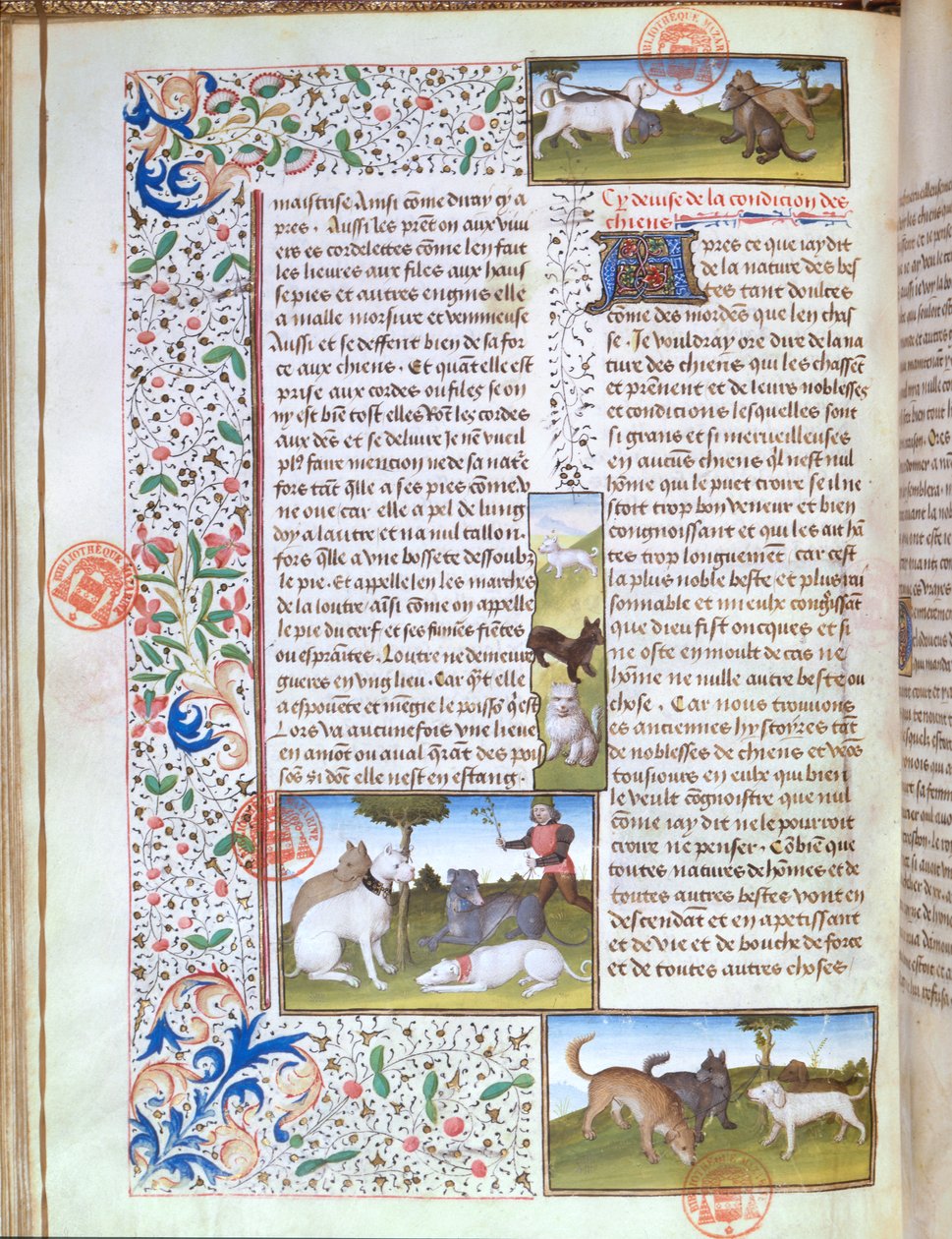 Ms 3717 Perros de caza, del Livre de la Chasse por Gaston Phebus de Foix (1331-91) de French School