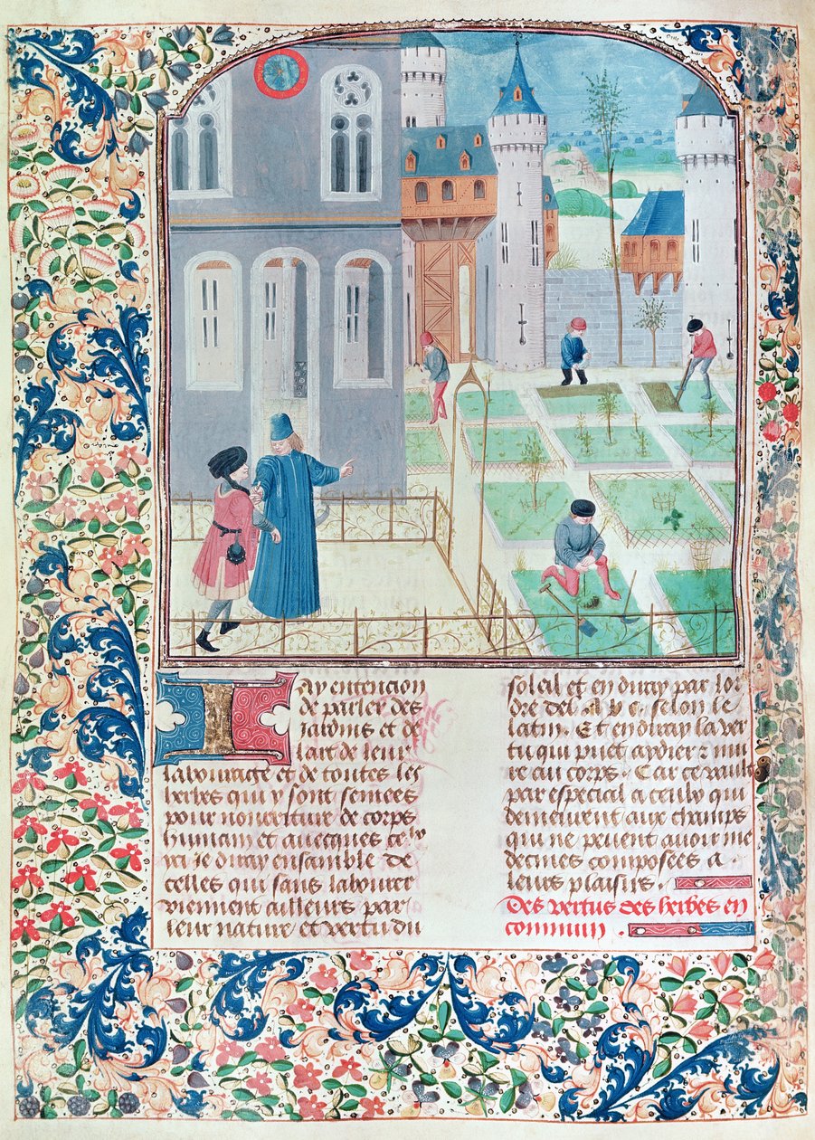 Ms 5064 f.151v El Jardín, ilustración de Le Livre des Prouffitz Champestres de Pietro de Crescenzi (1230-132021) de French School