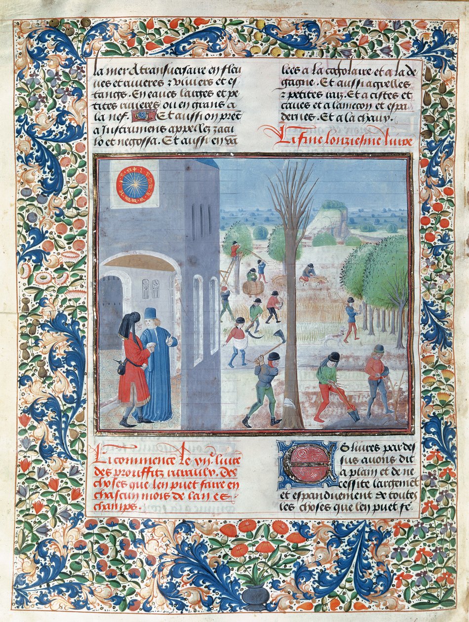 Ocupaciones para cada mes del año, ilustración de Le Livre des Prouffitz Champestres por Pietro de Crescenzi (1230-132021) de French School