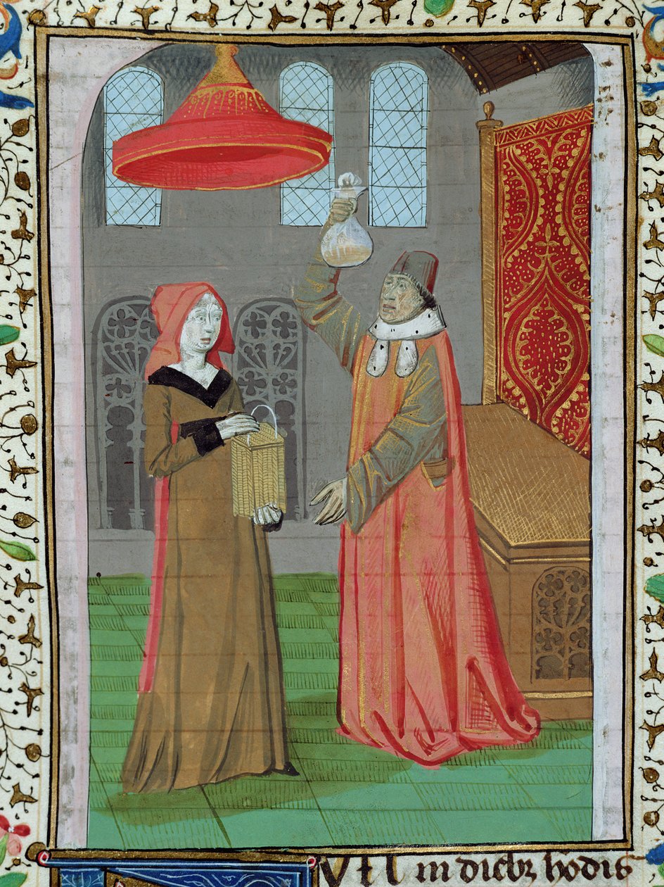 Un doctor examinando la orina de Santa Isabel para ver si está embarazada, de la Biblia de Juan XXII de French School