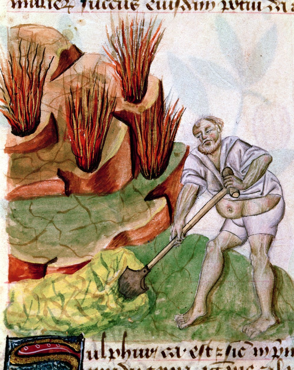 Buscando azufre, de Dioscorides De Herbis de French School
