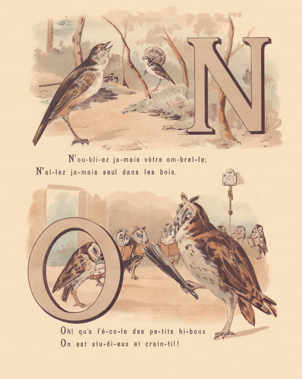 N O: Ruiseñor, nupcial, búho, ortografía de French School