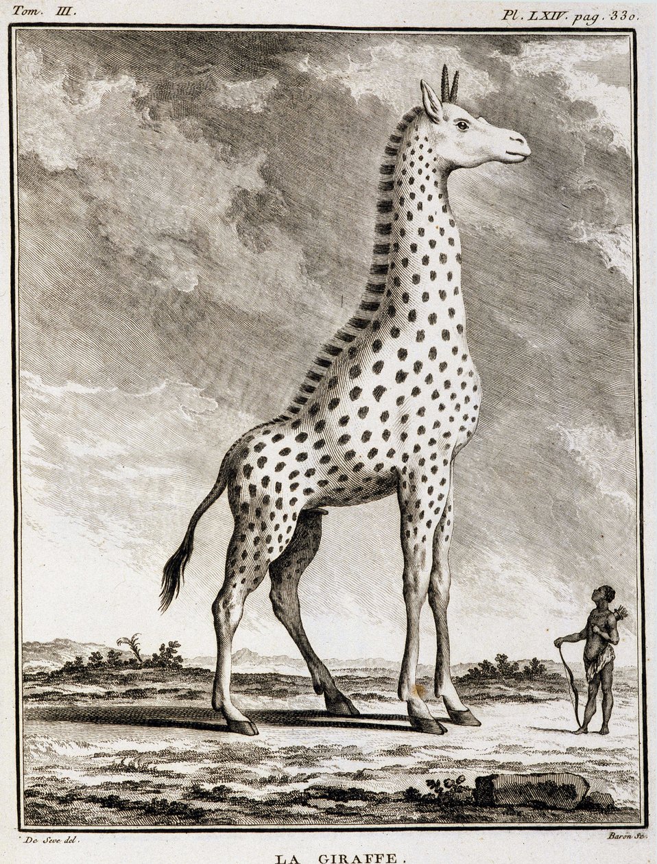Historia Natural: La Jirafa - en "Historia Natural, General y Particular" de Buffon de French School