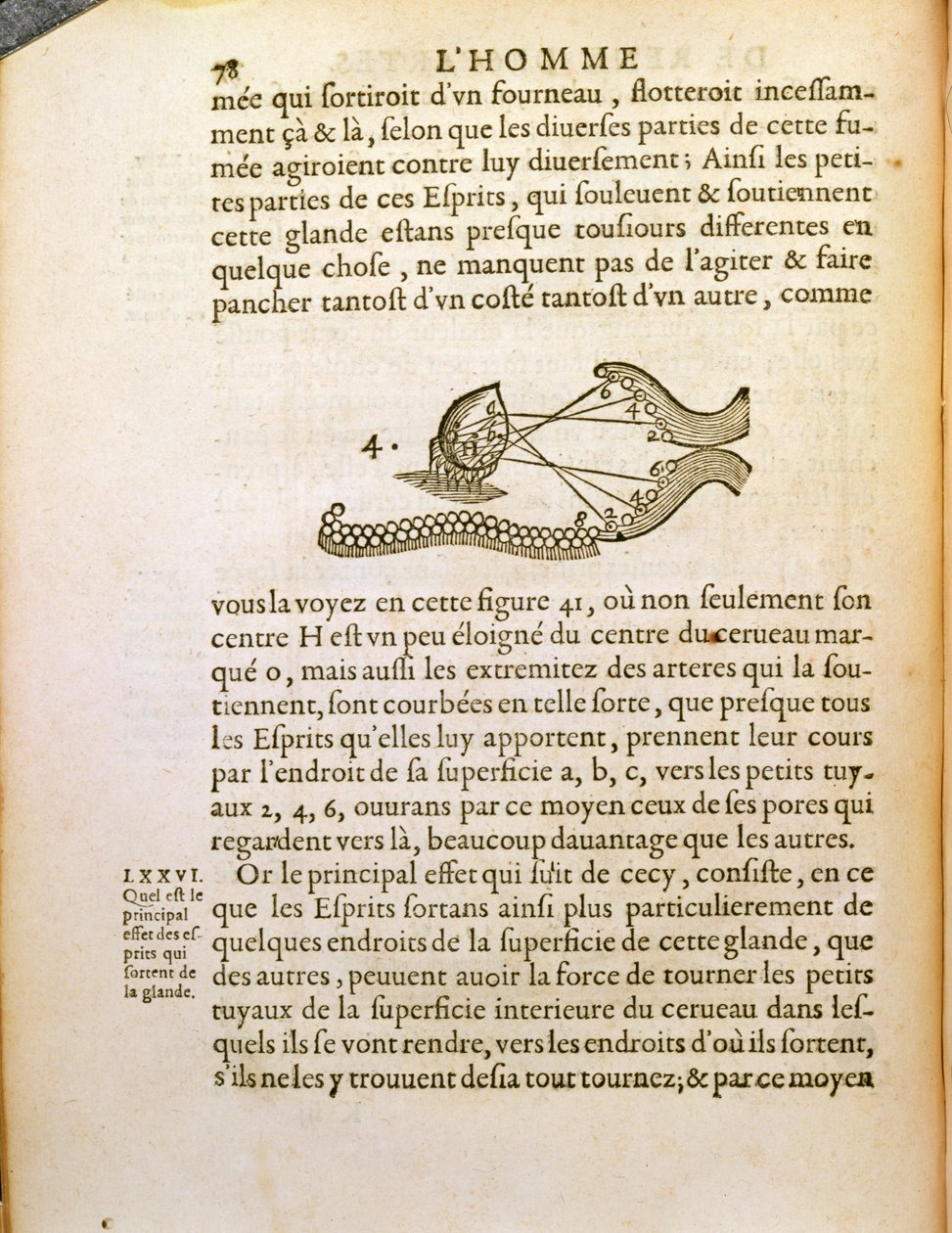 Diagrama óptico, de De Homine Figuris por René Descartes, publicado en La Haya, 1662 de French School