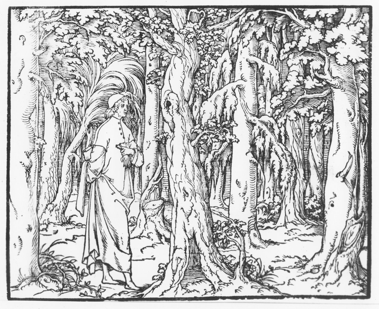 Página de "Discours du Songe de Poliphile", de Francesco Colonna, 1546 de French School