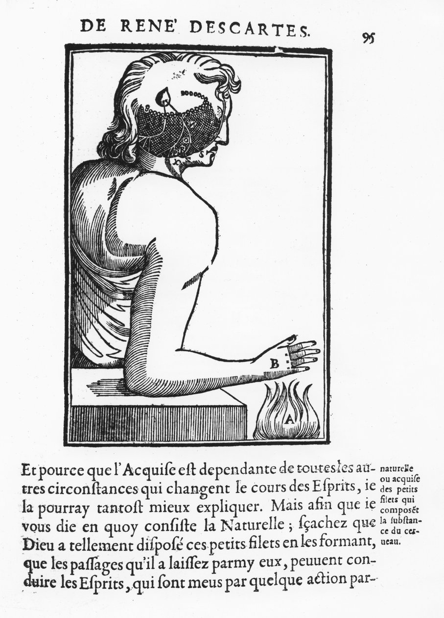 Página de 