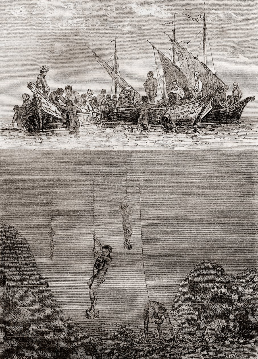 Buzos de perlas en la costa de la Isla de Ceilán en el siglo XVIII, de 