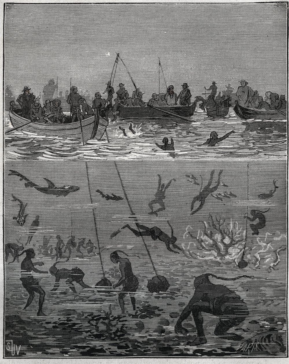 Pescadores de perlas en Ceilán (actual Sri Lanka) en el siglo XIX. Grabado de 1885 en “Les arts et métiers illustrés” por Adolphe BITARD. de French School