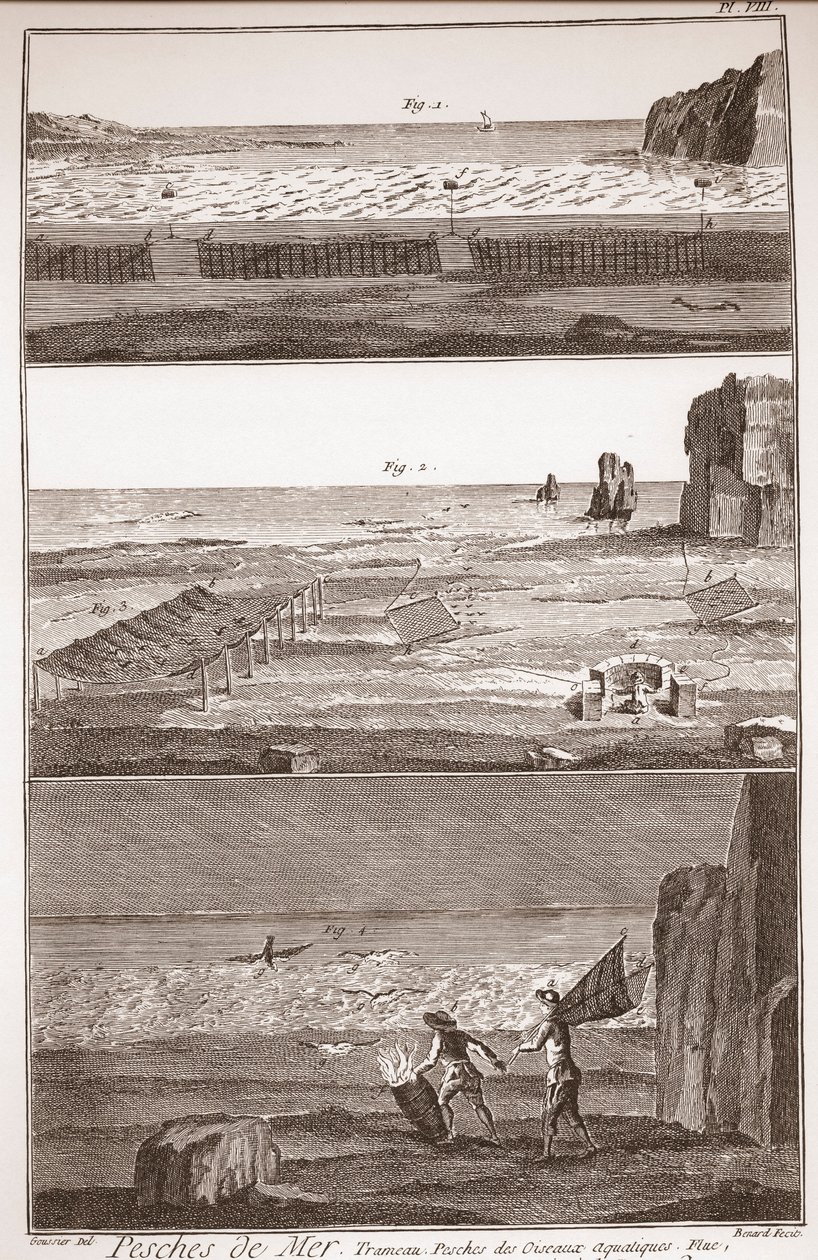 Pesca de mar - Trameau - Pesca de aves acuáticas - “The Great Encyclopedie, ou Dictionnaire Raisonné des Sciences, des Arts et des Métiers” (Enciclopedia o Diccionario de las Ciencias, Artes y Profesiones) por Denis Diderot (1713-1784) y Jean d
