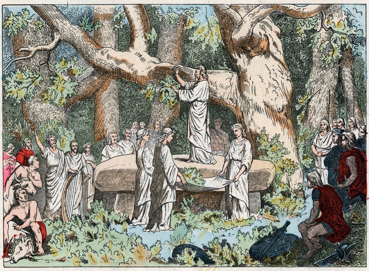 Recolección de muérdago por los druidas en la Galia, finales del siglo XIX (grabado) de French School