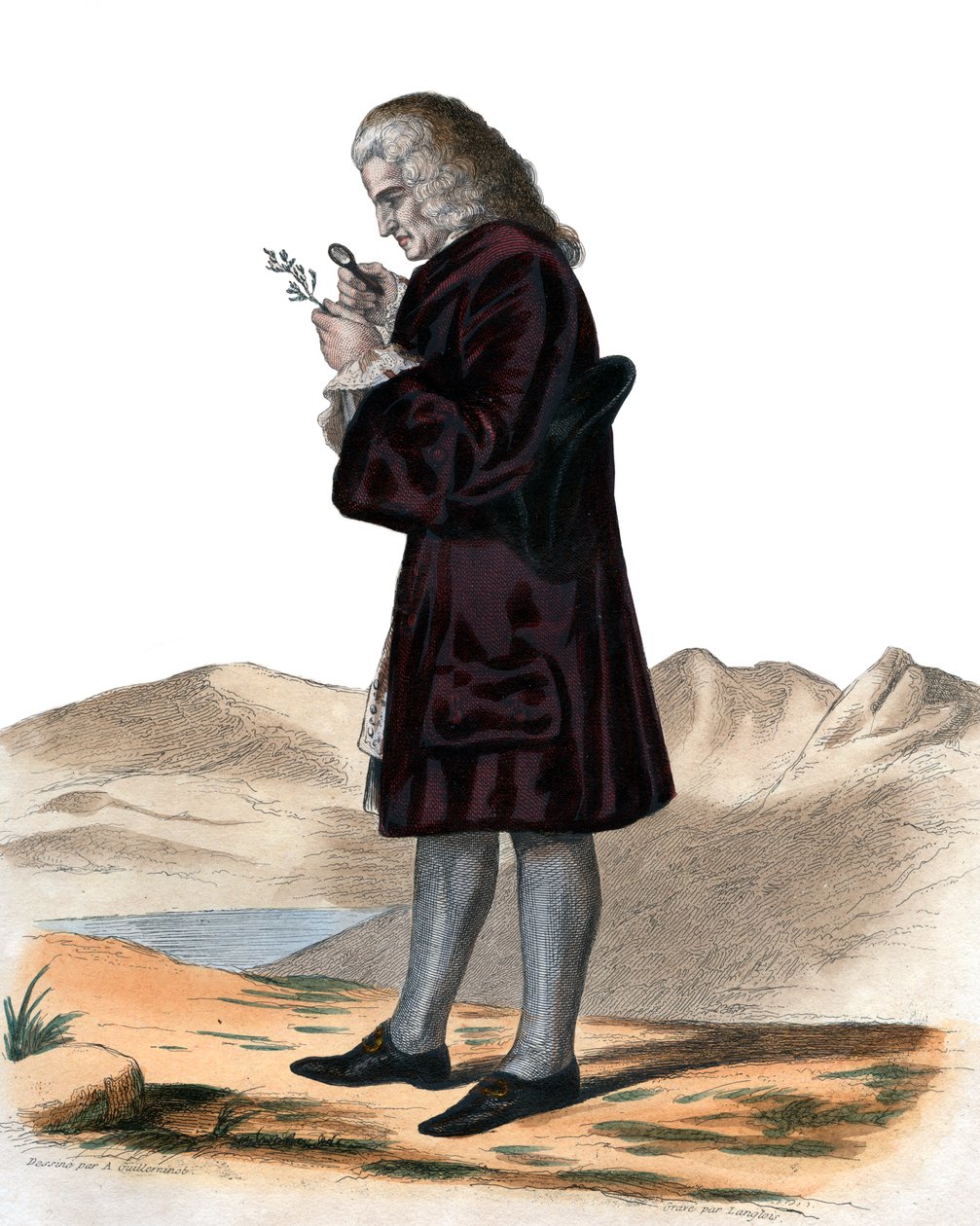 Retrato de Bernard de Jussieu (1699-1777) de French School