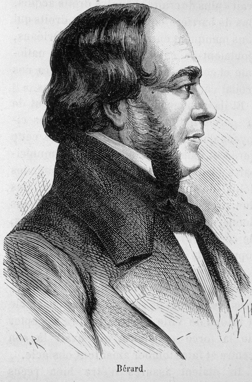 Retrato de Bérard - en "L