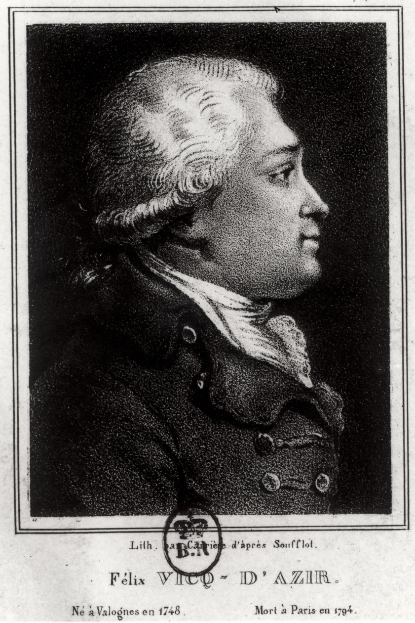 Retrato de Félix Vicq d