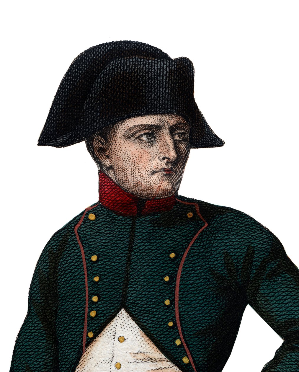 Retrato de Napoleón Bonaparte (1768-1821) como Primer Cónsul de French School