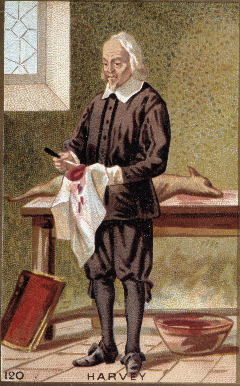 Retrato de William Harvey (1578-1657), médico inglés. de French School