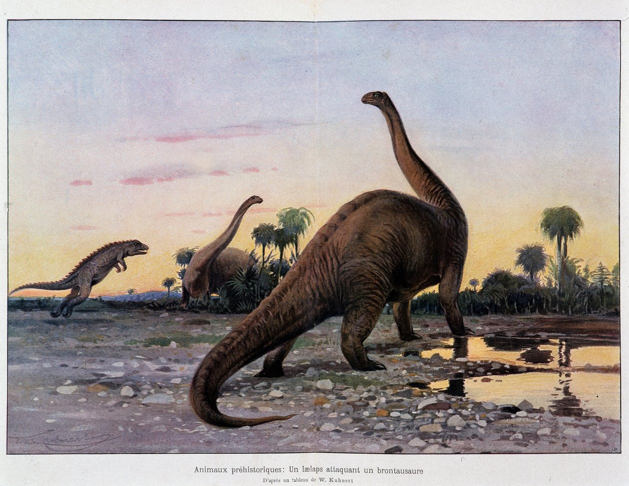 Animales prehistóricos: un laelaps atacando a un brontosaurio - en “El Universo y la Humanidad” de French School