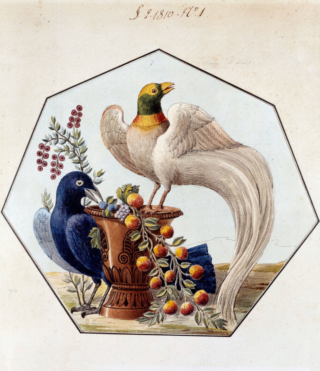 Proyecto para la mesa de aves en porcelana por Alexandre Brongniart (1770-1847). 1810 Sèvres, archivos de la Manufacture de Sèvres de French School