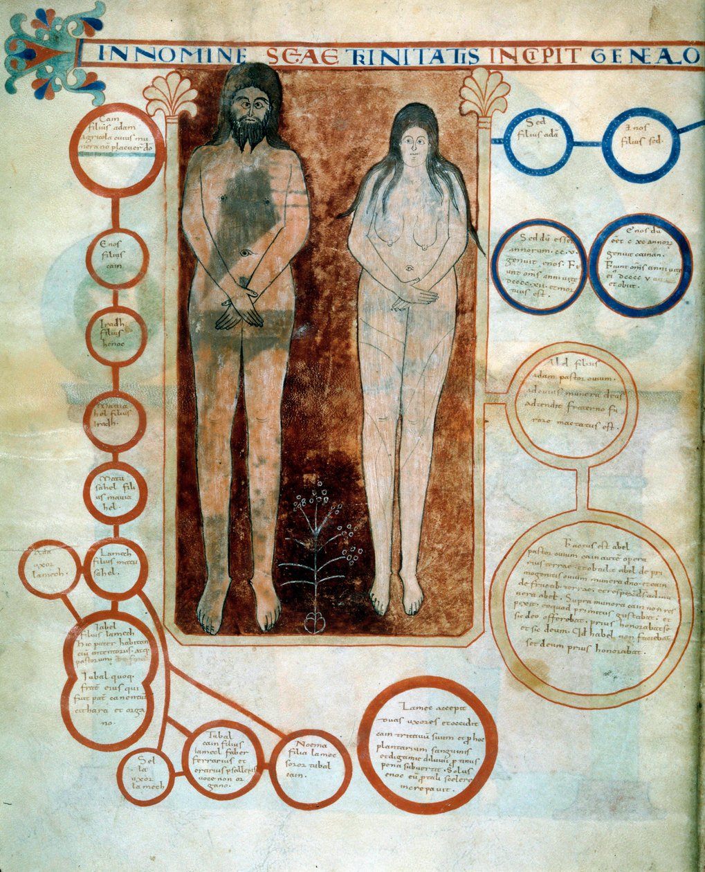 Representación de Adán y Eva, los medallones rojos representan la línea de Caín, destruida por el Diluvio. Miniatura que ilustra los comentarios de "El Apocalipsis según San Juan" escrito en 775 por el monje Beato de Liébana de French School