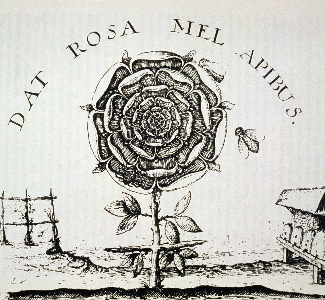 Alegoría Rosacruz, copia de un grabado de Johann Theodore de Bry (c.1598), usada en una Historia de la Magia, publicada a finales del siglo XIX de French School