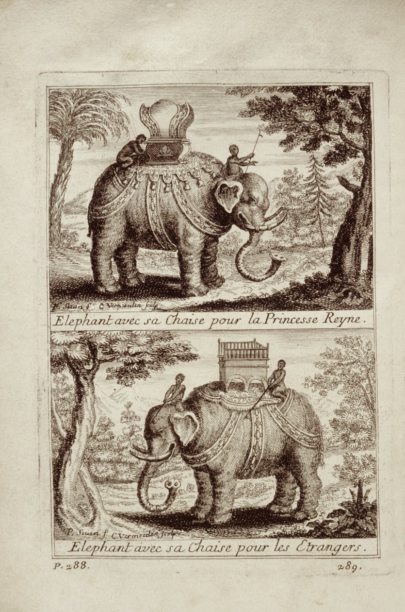 Elefantes reales, de Voyage du Siam des Peres Jesuites por Guy Tachard, 1688 de French School