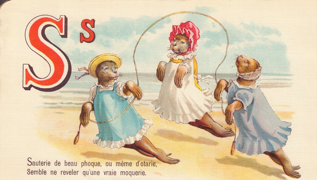 S: Salteado de bella foca, o incluso de focas, parece revelar solo una burla real de French School