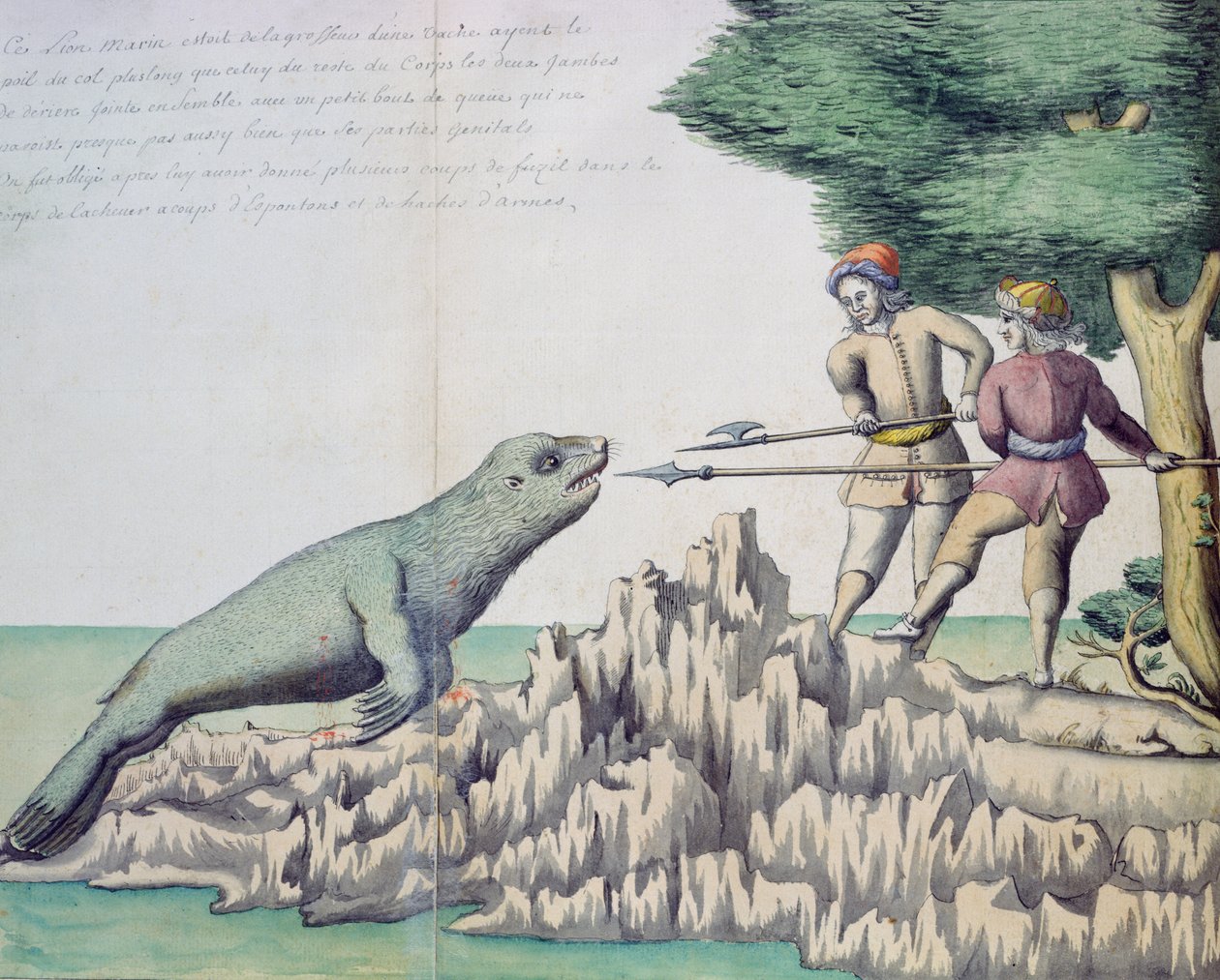 León marino cerca del Estrecho de Magallanes de French School