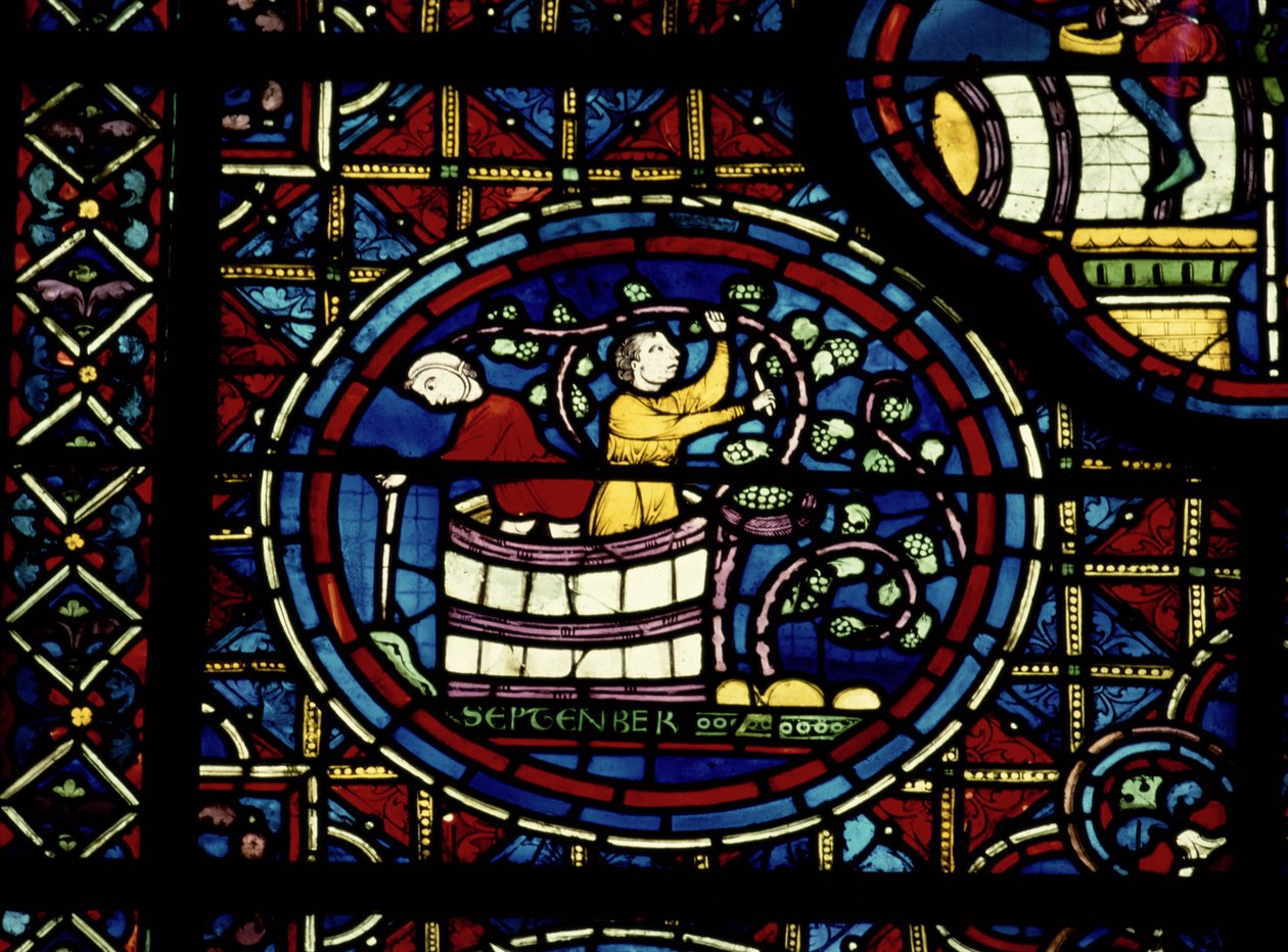 Septiembre, de la Ventana del Zodiaco, siglo XIII de French School