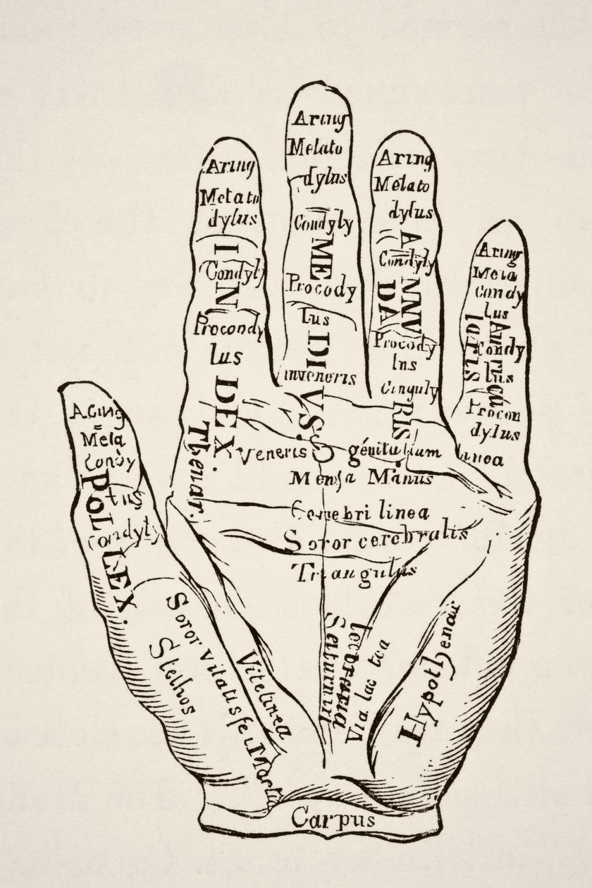Espécimen de la mano izquierda con las líneas y sus denominaciones horoscópicas, de Science and Literature in The Middle Ages por Paul Lacroix pub. Londres 1878 de French School