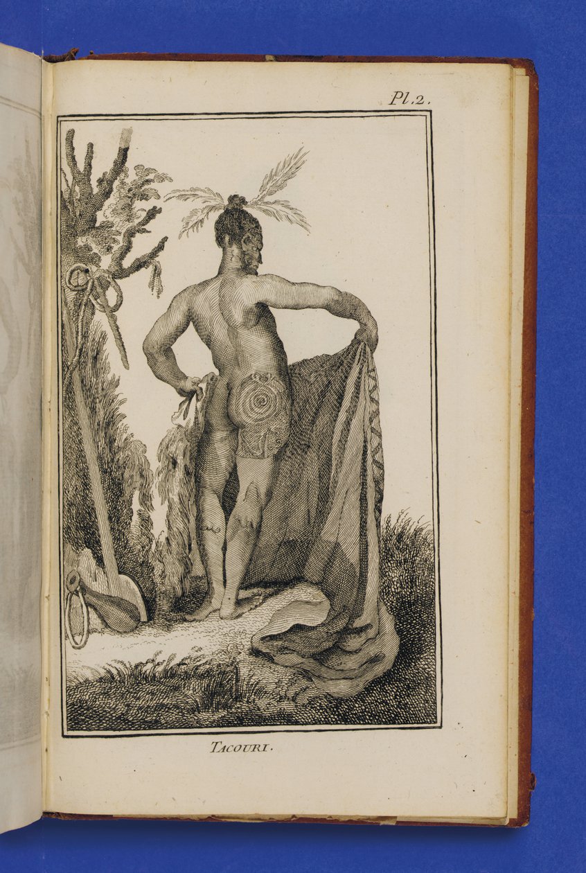 Tacouri, ilustración de 