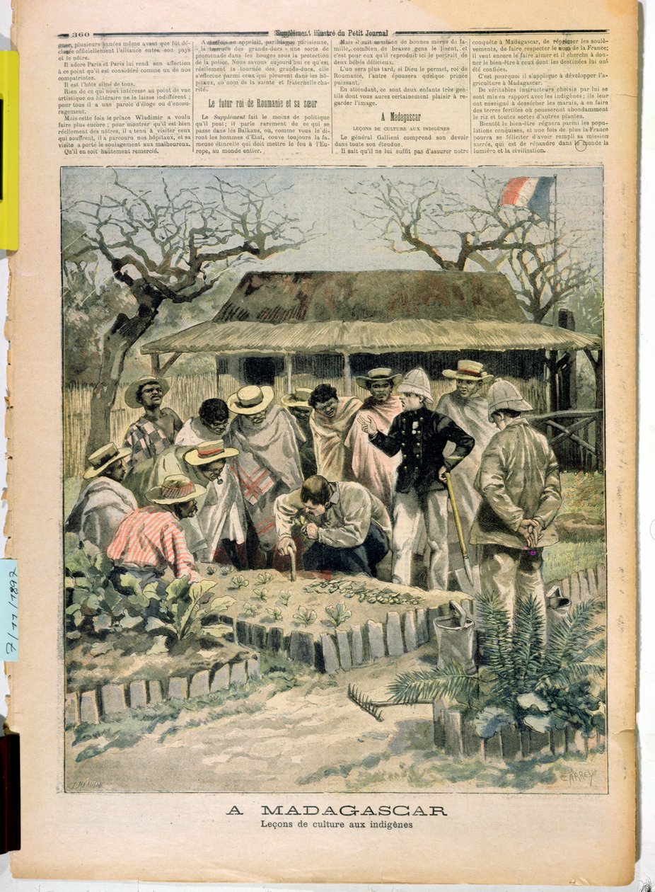 Métodos de enseñanza del cultivo a los nativos de Madagascar, de Le Petit Journal, 7 de noviembre de 1896 de French School