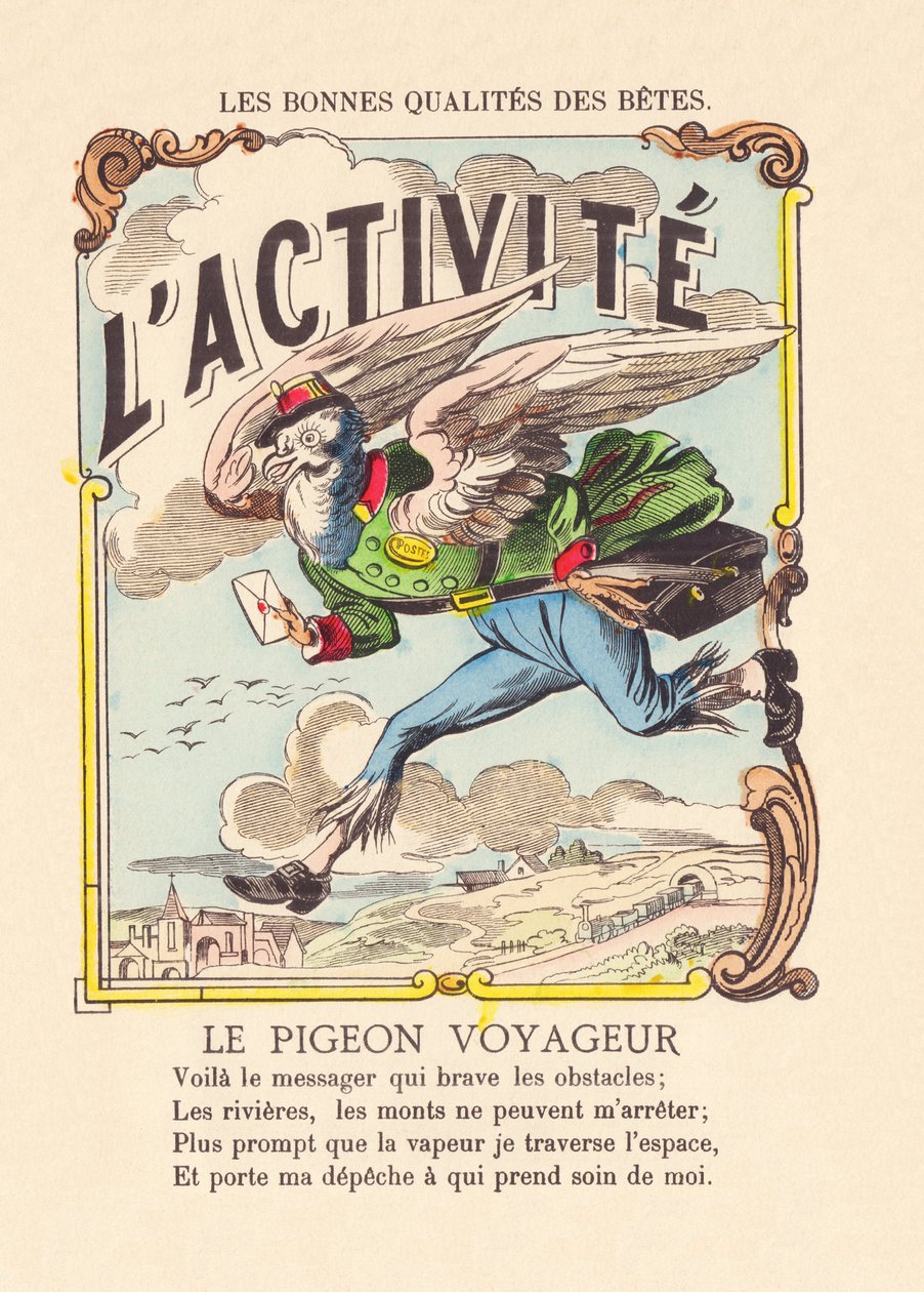 La actividad. La paloma mensajera c.1900 (grabado de Epinal) de French School