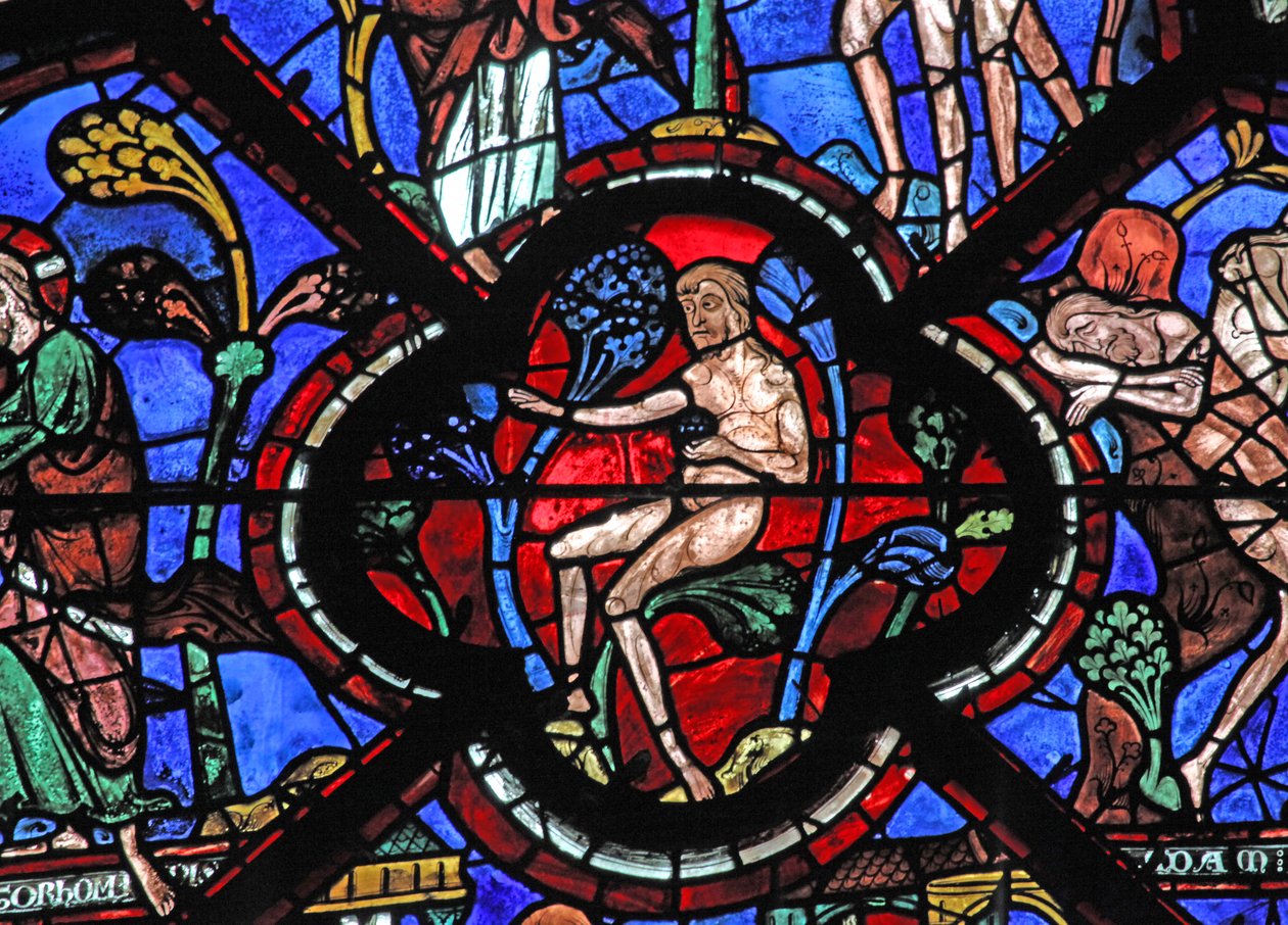 La ventana del Buen Samaritano: Adán en el Jardín del Edén de French School