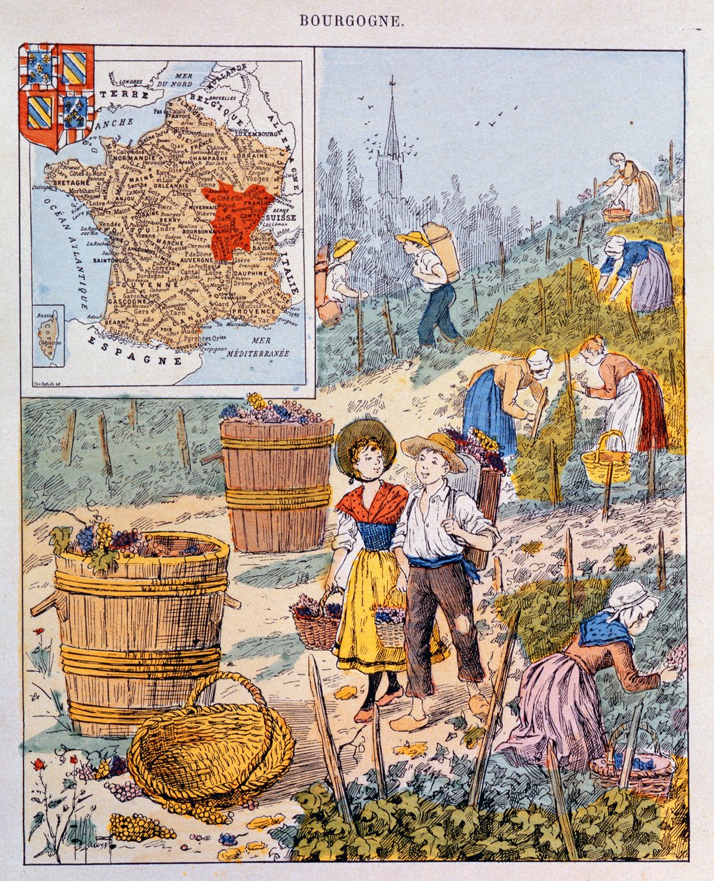 La Vendimia en Borgoña, ilustración de un libro de texto escolar, c.1910 de French School