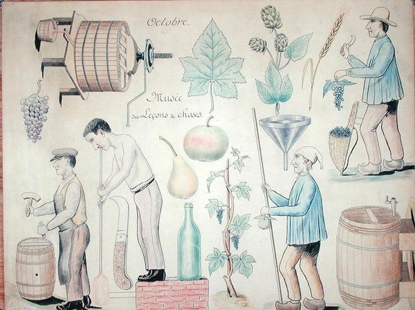 El mes de octubre: Producción de vino de French School