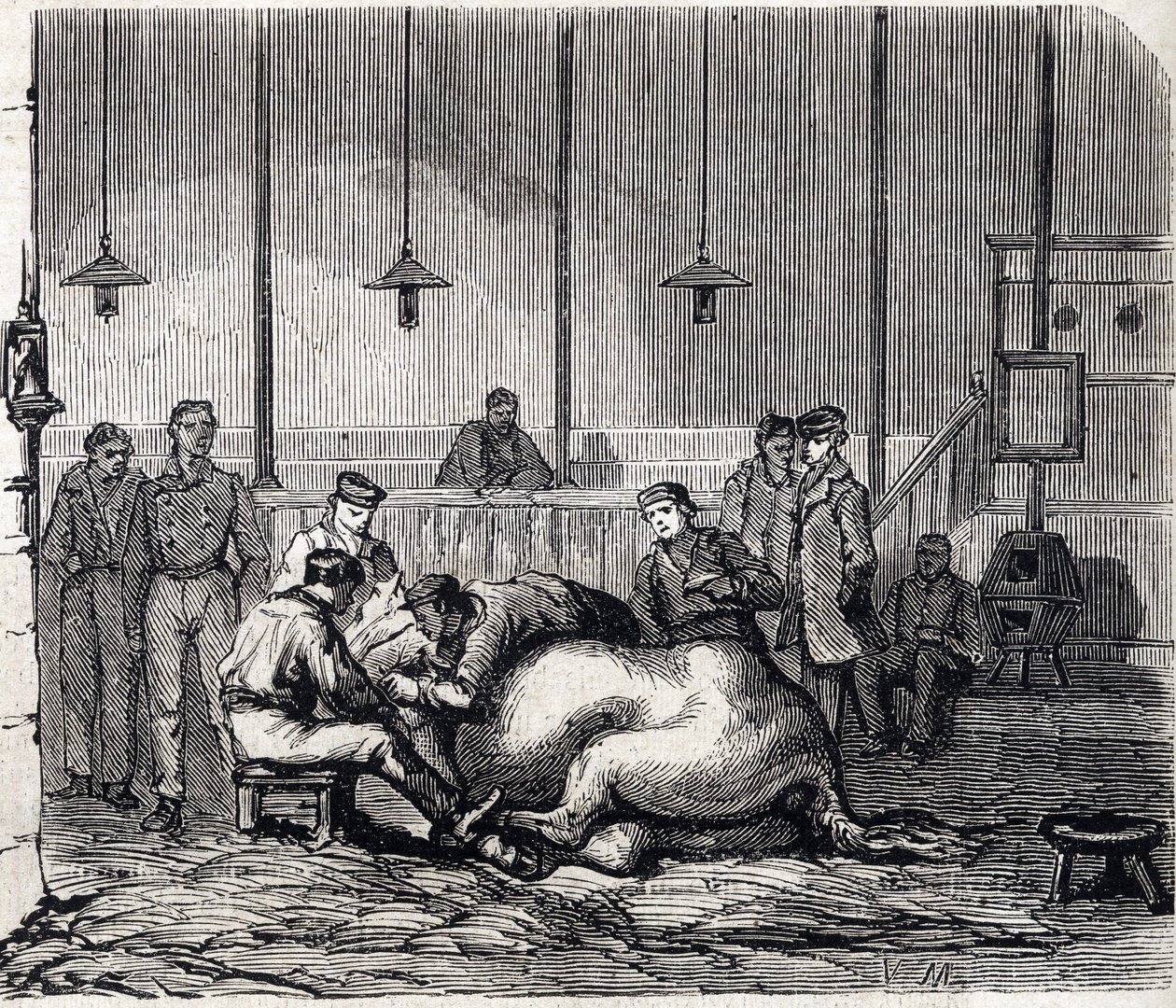 La escuela nacional de veterinaria de Alfort - Les grandes écoles de France - école vétérinaire de maison Alfort en 1866 - la sala de disección - Grabado en “Le Monde Illustré” de 1866 de French School