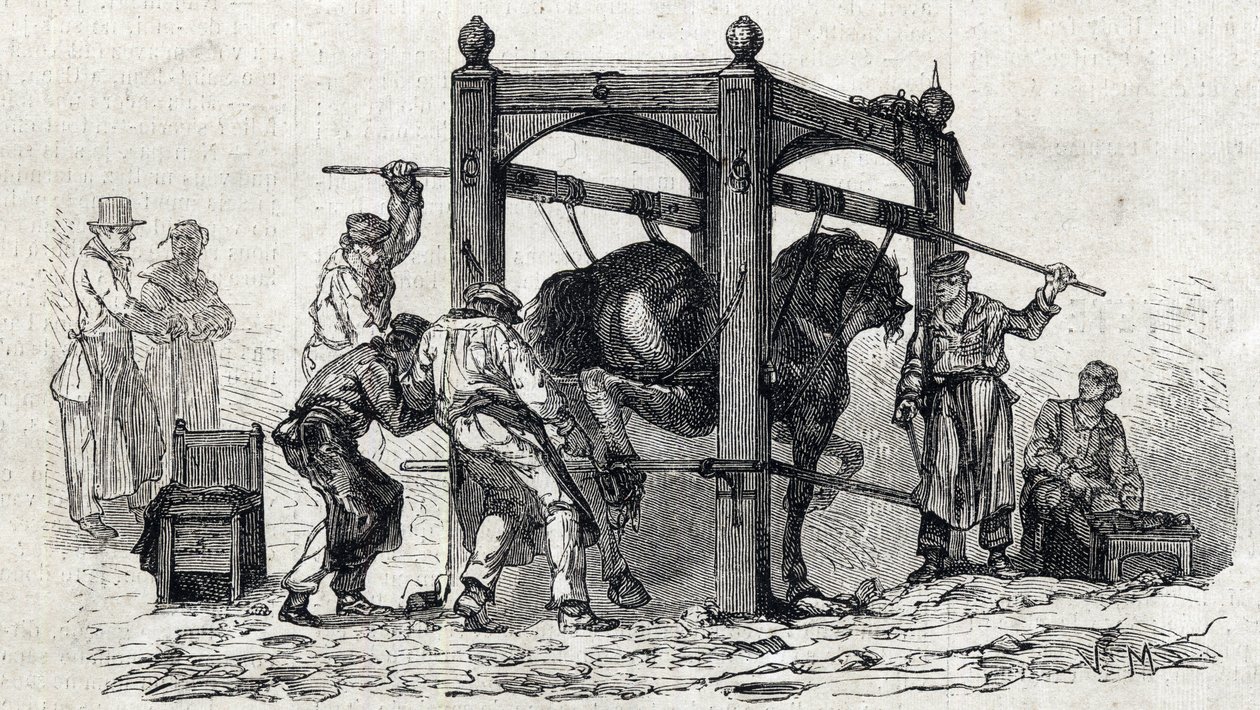La Escuela Nacional de Veterinaria de Alfort - Las grandes escuelas de Francia - escuela veterinaria de Maison Alfort en 1866 - el herrado de caballos rebeldes - Grabado en “Le Monde Illustré” de 1866 de French School