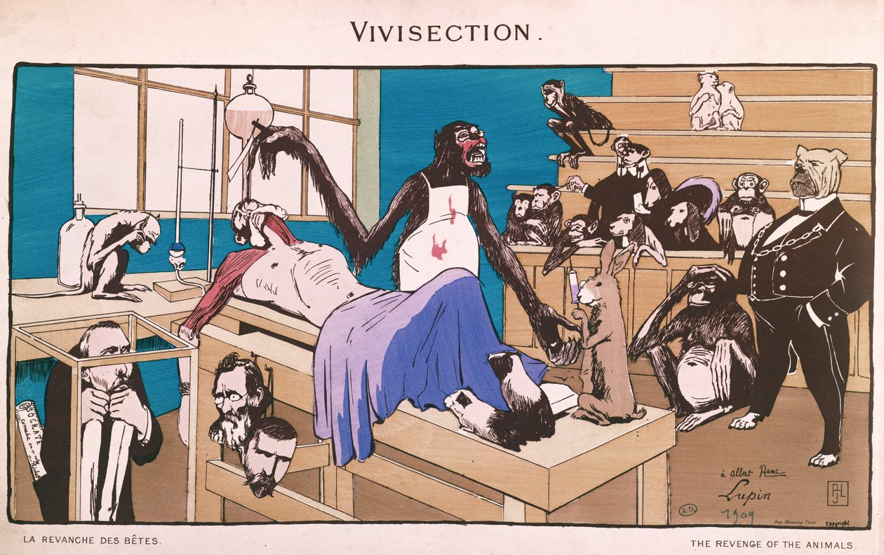 La venganza de los animales, caricatura de vivisección, 1909 de French School
