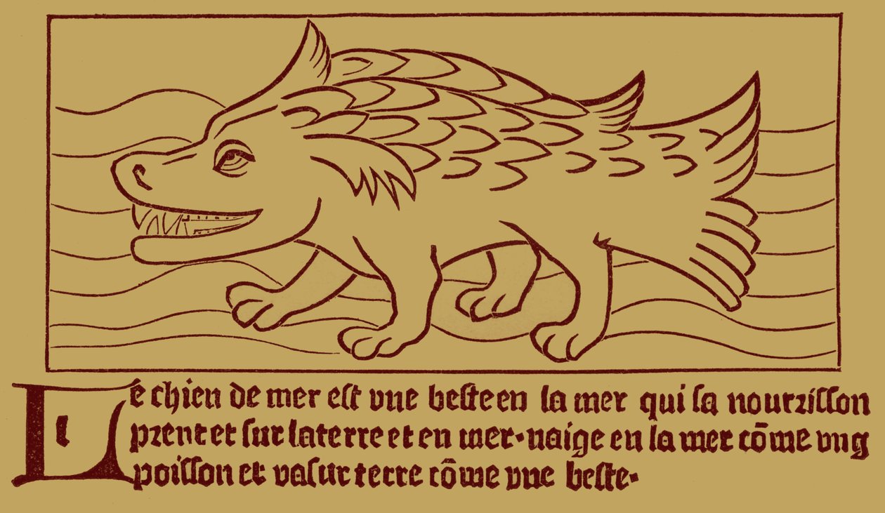 El Perro del Mar de French School
