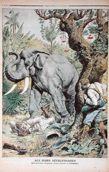 El trágico final de una cacería de elefantes en India, ilustración de Le Petit Journal, 25 de noviembre de 1906 de French School
