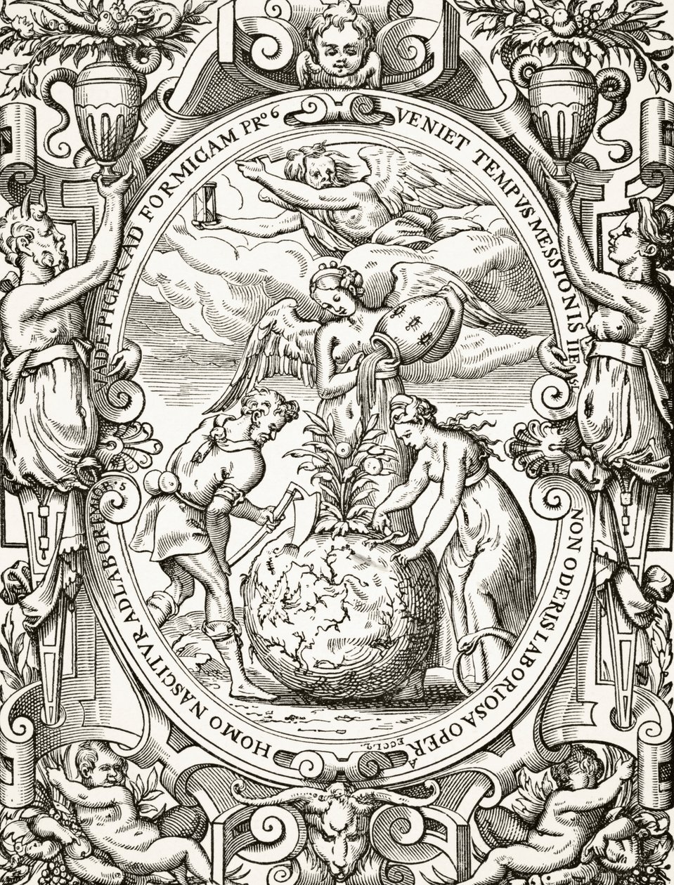 El Reino Vegetal, de Ciencia y Literatura en la Edad Media por Paul Lacroix (1806-84) publicado en Londres 1878 de French School
