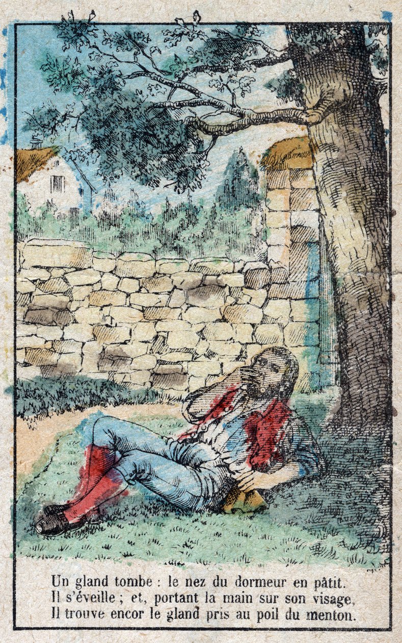 La bellota y la calabaza. Fábulas de Jean de La Fontaine (1621-95). Imagen de Épinal de finales del siglo XIX. de French School