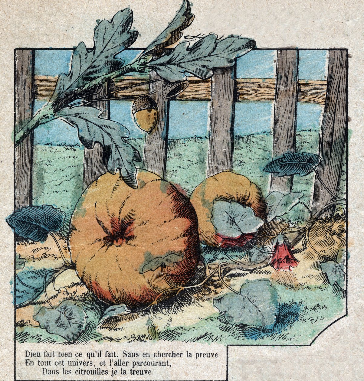 La bellota y la calabaza. Fábulas de Jean de La Fontaine (1621-95). Imágenes de Épinal finales del siglo XIX. de French School